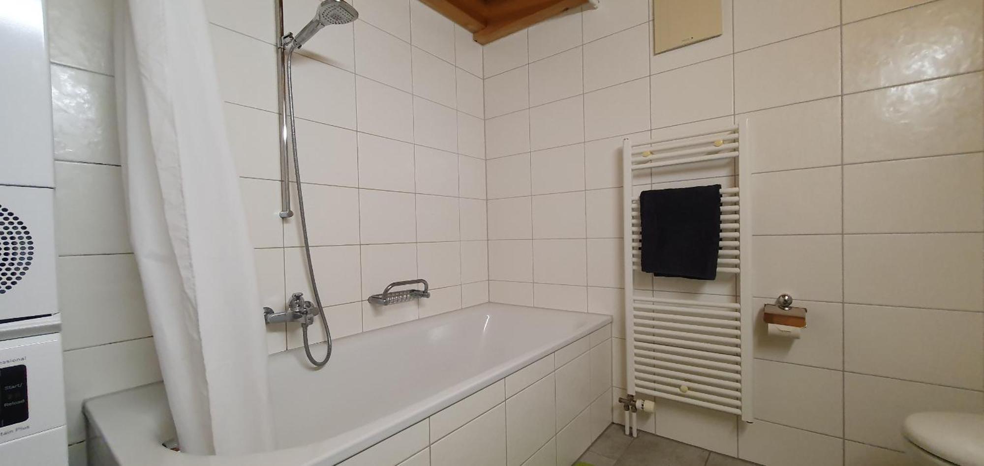 Apartment Honegg ラウターブルンネン エクステリア 写真